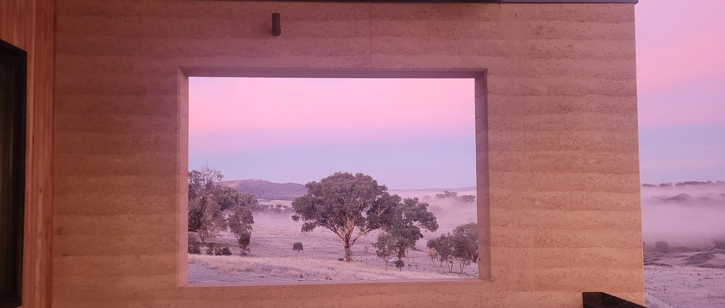 CURLY TREE HOUSE · RAMMED BY HAND, 2023